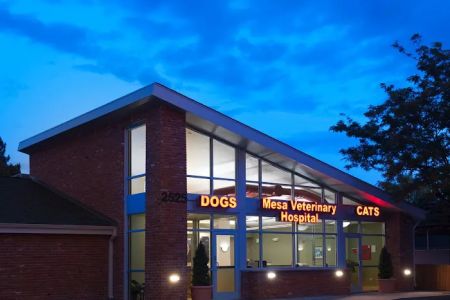 Mesa Veterinary Hospital