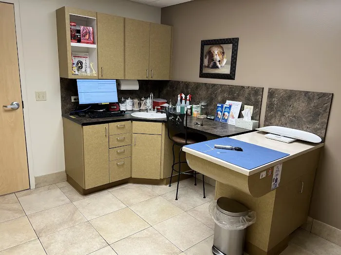 Mesa Veterinary Hospital 12
