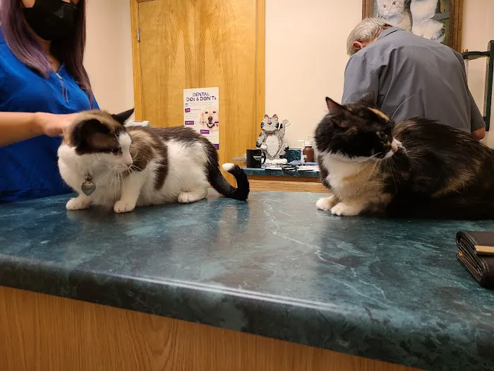 Foothills Animal Hospital 12