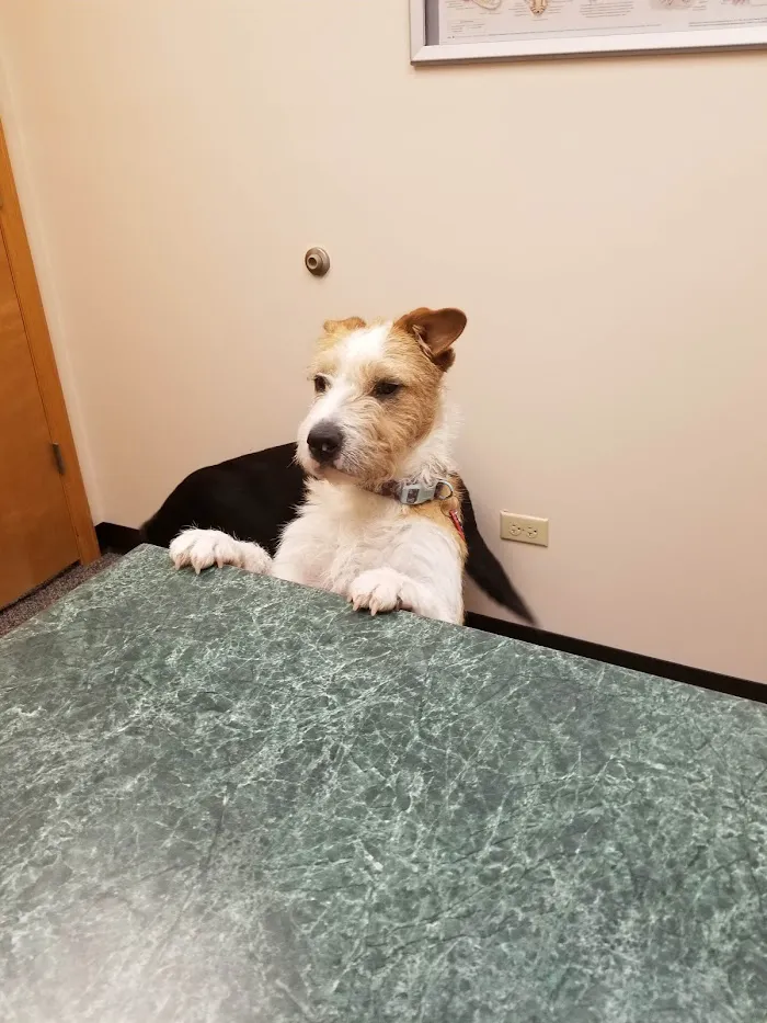 Foothills Animal Hospital 12