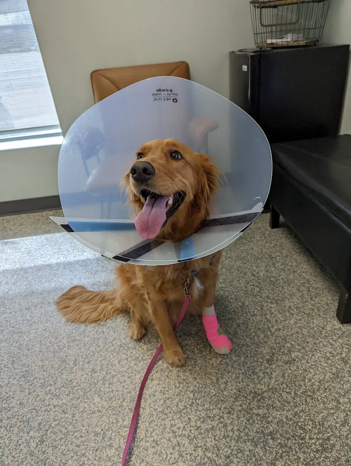Animal Urgent Care 12