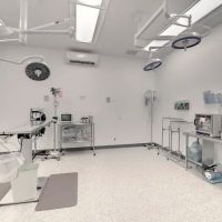 Animal Urgent Care ico