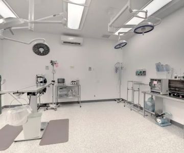 Animal Urgent Care