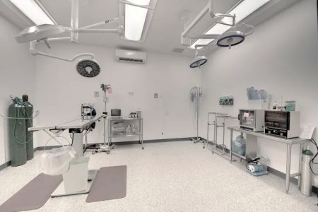 Animal Urgent Care