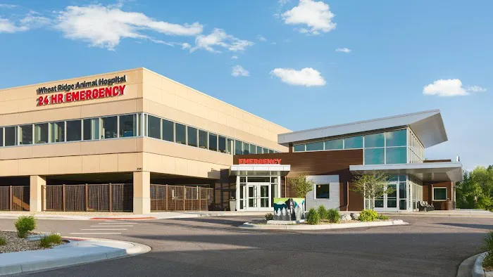 Wheat Ridge Animal Hospital 12