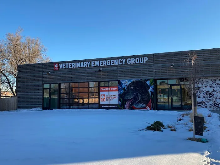Veterinary Emergency Group 2