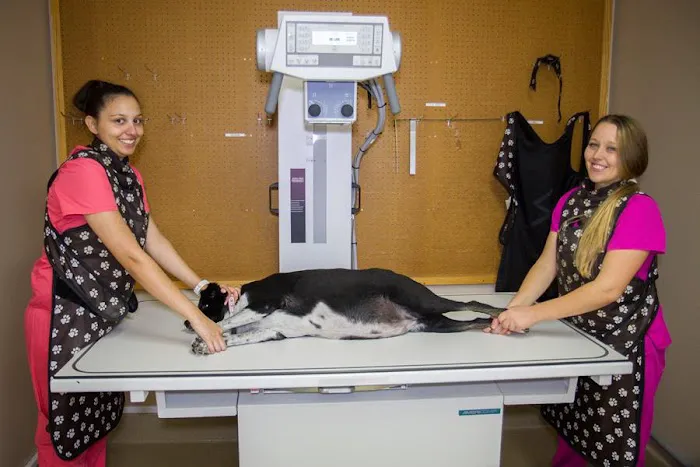 BluePearl Pet Hospital 6