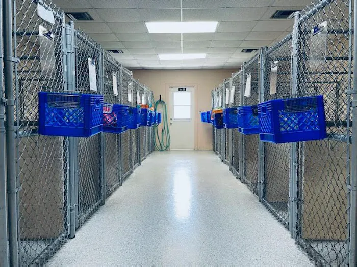 Marco Veterinary Hospital 1
