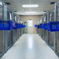 Marco Veterinary Hospital ico