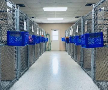 Marco Veterinary Hospital