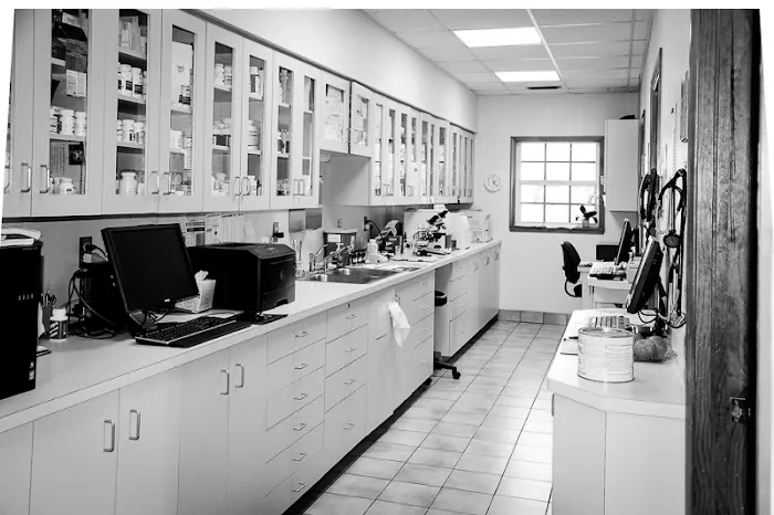 Marco Veterinary Hospital 4