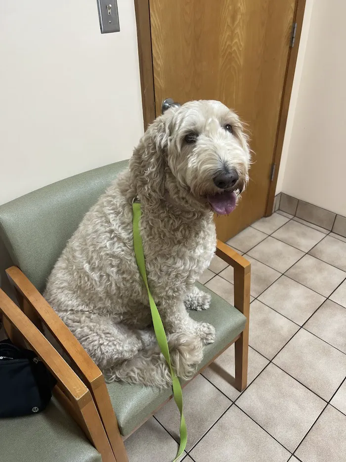 Marco Veterinary Hospital 9