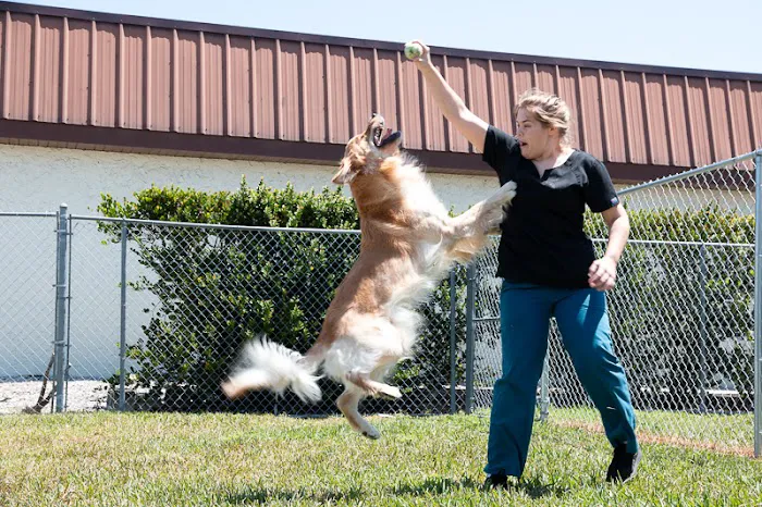 Marco Veterinary Hospital 7
