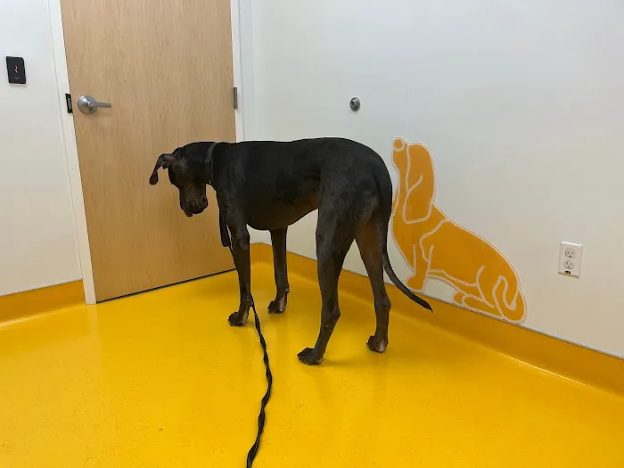 University of Florida Veterinary Hospital 12