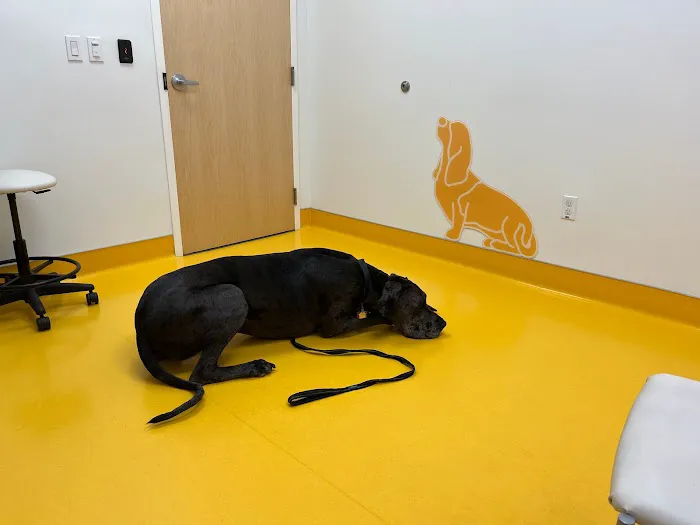 University of Florida Veterinary Hospital 12