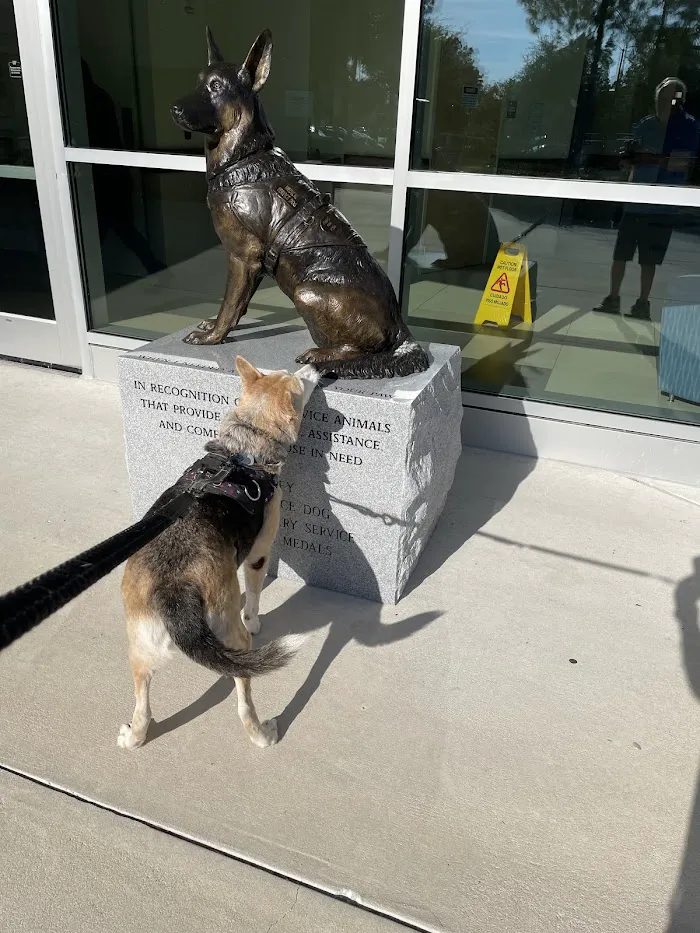 University of Florida Veterinary Hospital 12