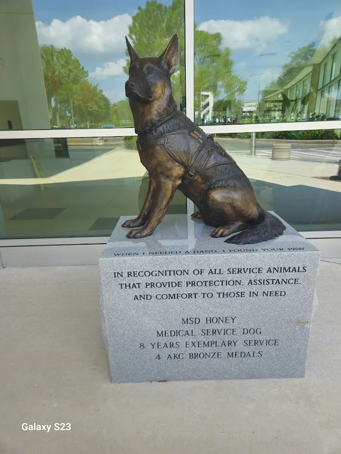 University of Florida Veterinary Hospital 12