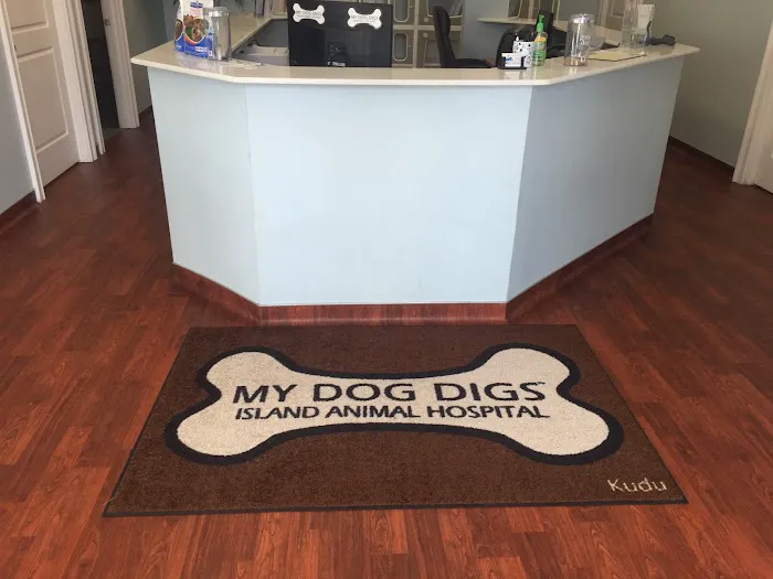 Island Animal Hospital 8