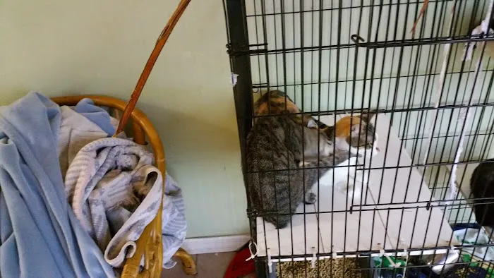 Our Hope Center Animal Clinic 12