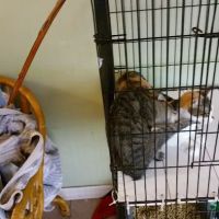 Our Hope Center Animal Clinic ico