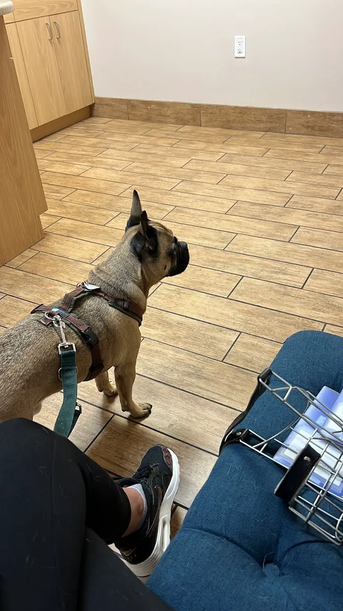 Santa Barbara Animal Hospital 12