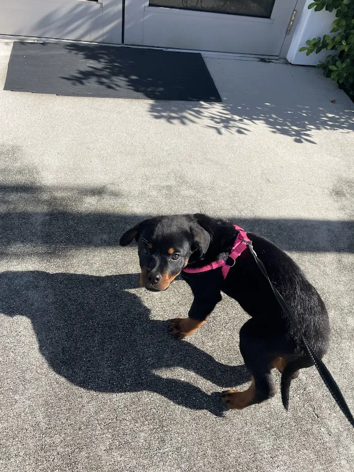 Santa Barbara Animal Hospital 12