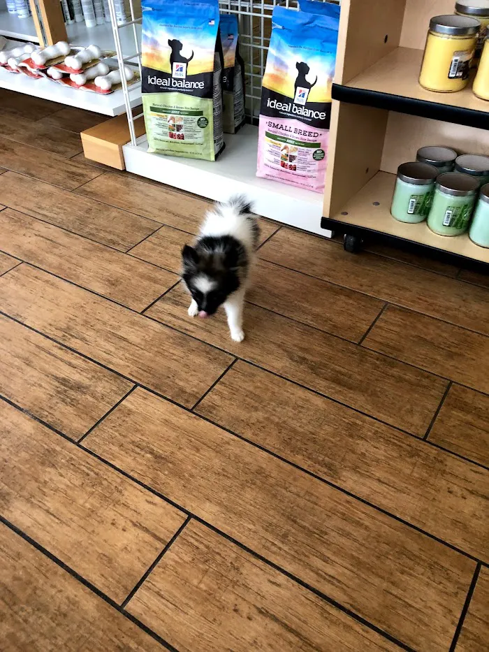 Santa Barbara Animal Hospital 12