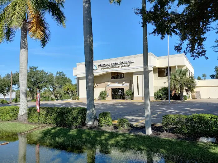 Hancock Animal Hospital & Rehabilitation Center 5