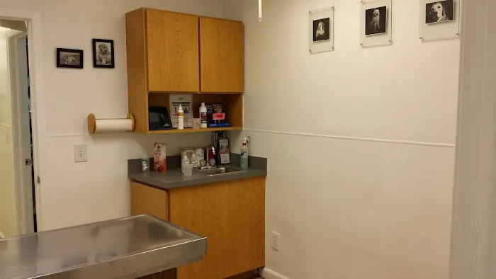 VCA Chiquita Animal Hospital 12