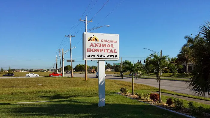 VCA Chiquita Animal Hospital 12