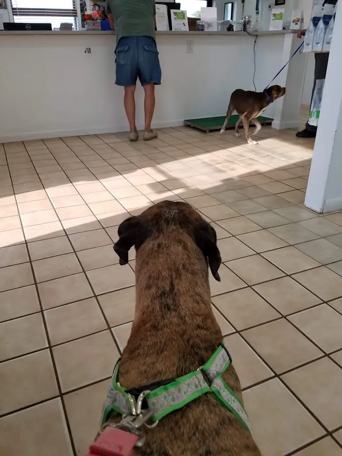 VCA Chiquita Animal Hospital 12
