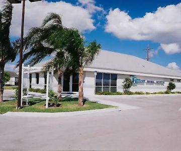 Kindness Animal Hospital (West), A Thrive Pet Healthcare Partner