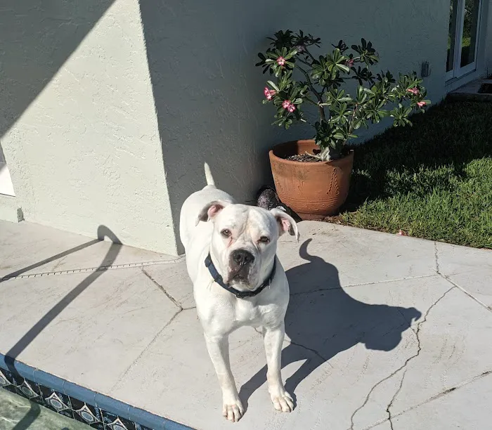 Kindness Animal Hospital (West), A Thrive Pet Healthcare Partner 7