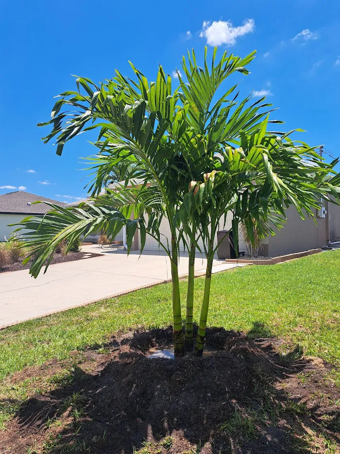 Cape Coral Pet Vet 12