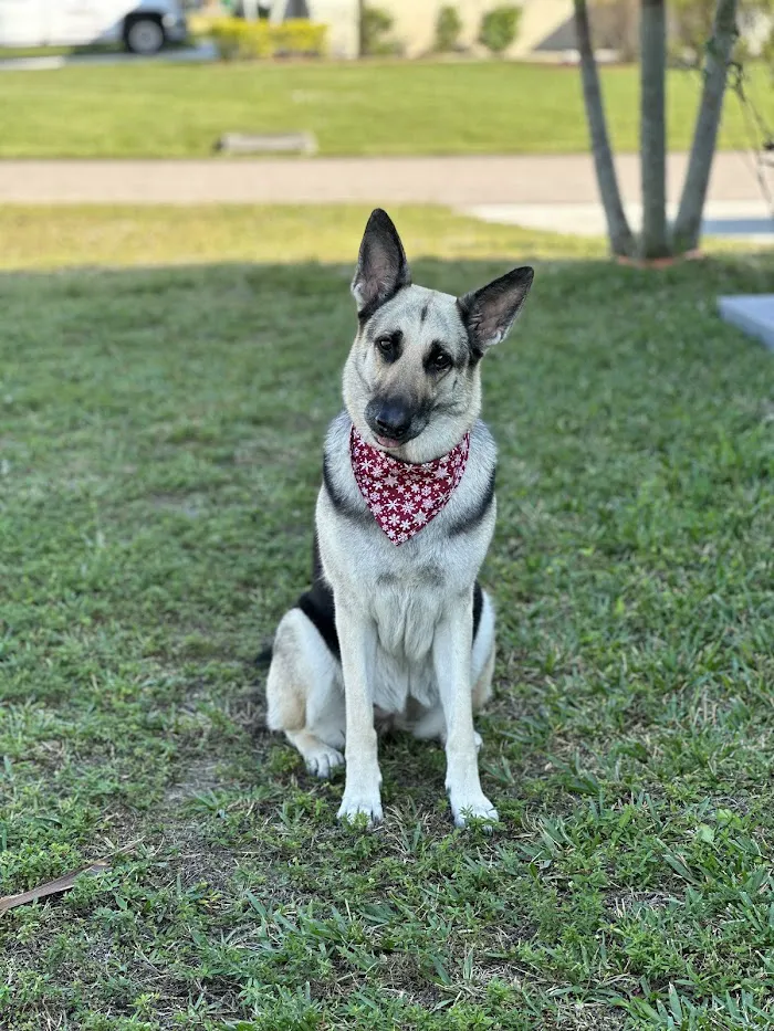 Morgan Veterinary Practice 12
