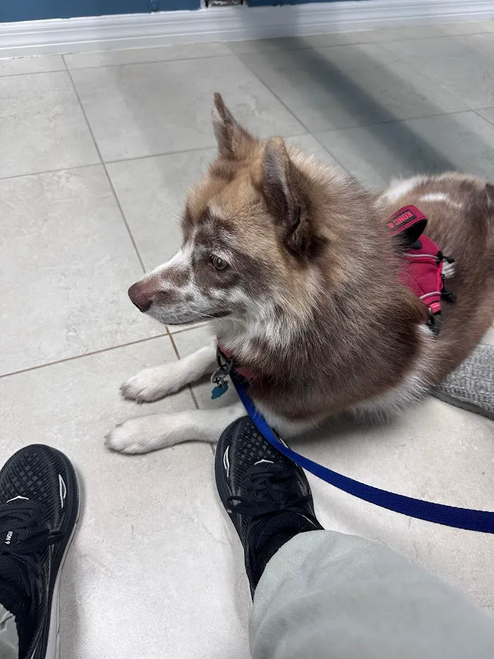Morgan Veterinary Practice 12