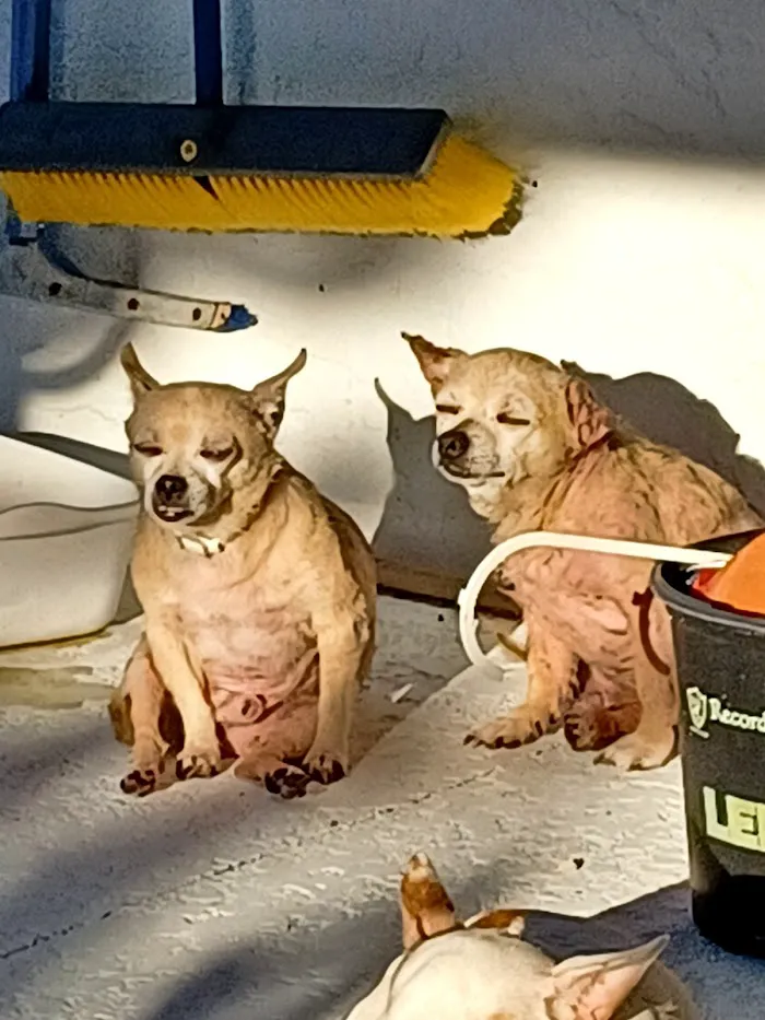 Morgan Veterinary Practice 12