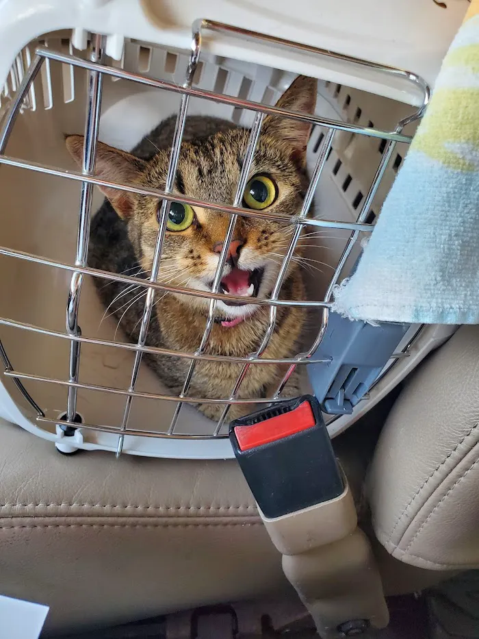 Homestead Veterinary Medical Center 10