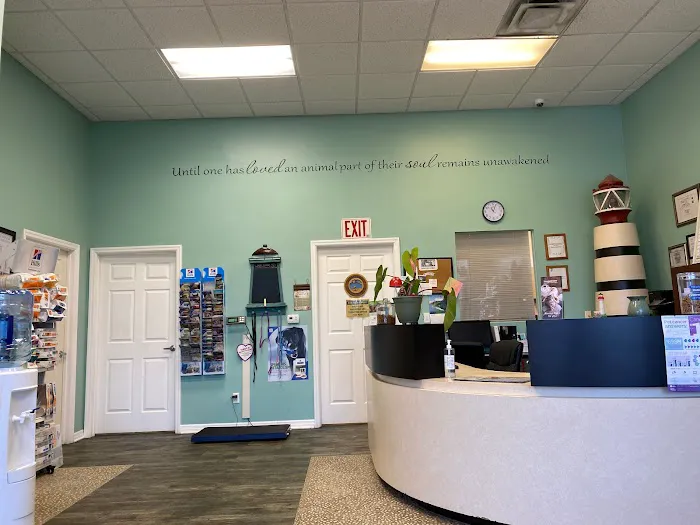 Lighthouse Pet Clinic 12