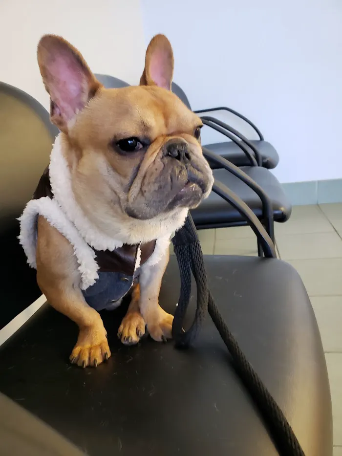 West Gate Animal Clinic 12