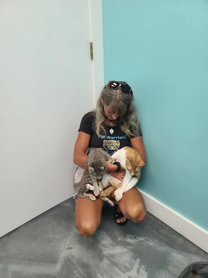 Islandside Veterinary Care and Surgical Center 12