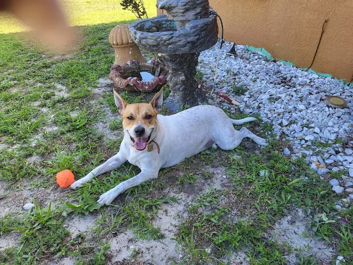 Small Animal Hospital 12