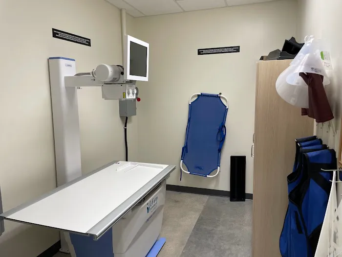 Fort Myers Animal Hospital 12