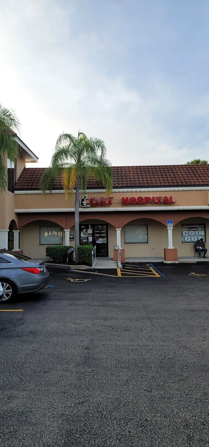 Cat Hospital of Fort Myers 12