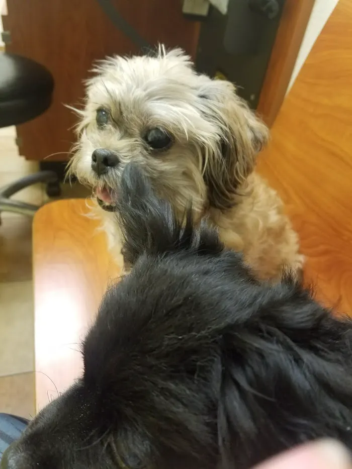 Banfield Pet Hospital 6