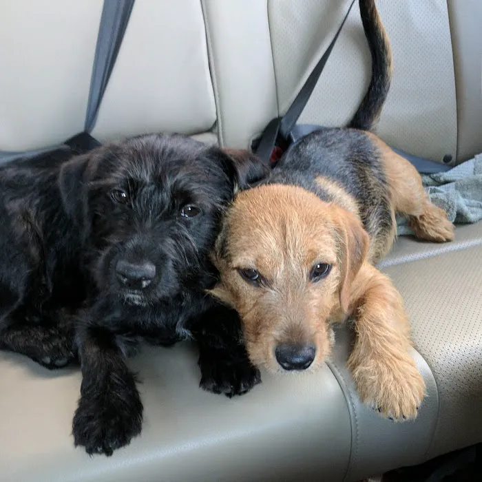 Banfield Pet Hospital 8
