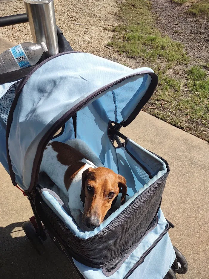 Pet Wellness Center LLC 12