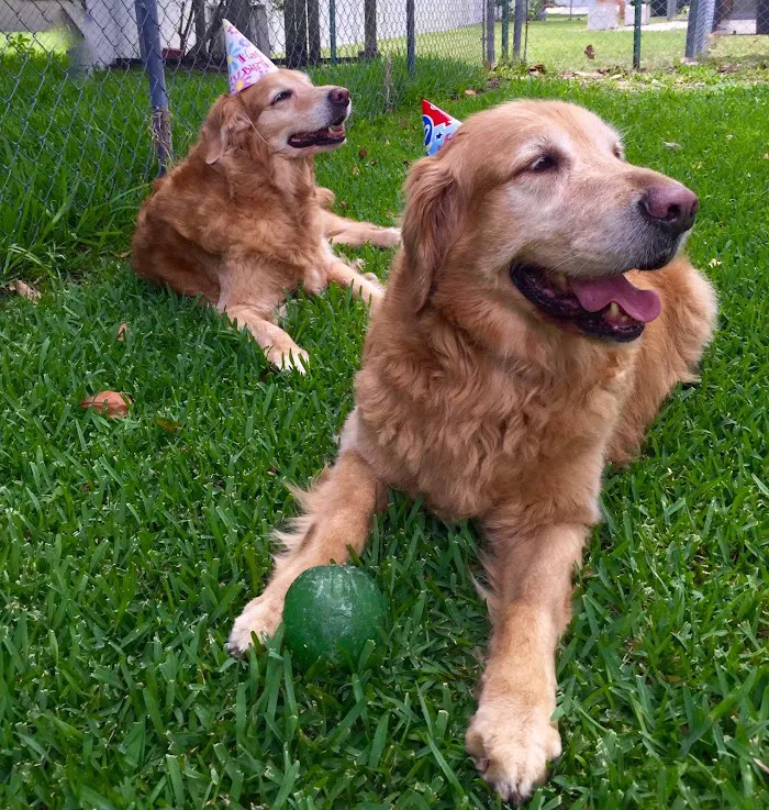 Pet Wellness Center LLC 12