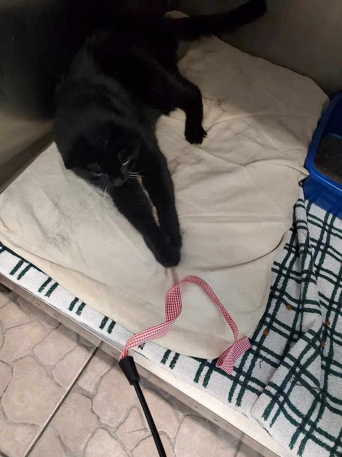 Big Cypress Animal Clinic 12