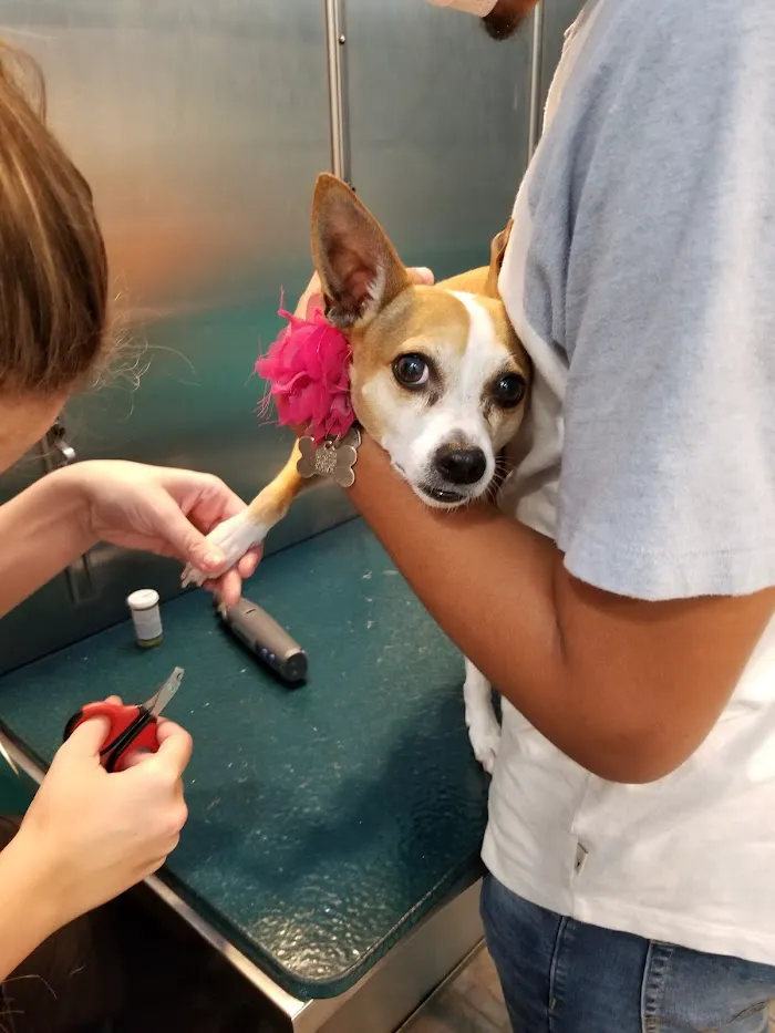 Big Cypress Animal Clinic 12